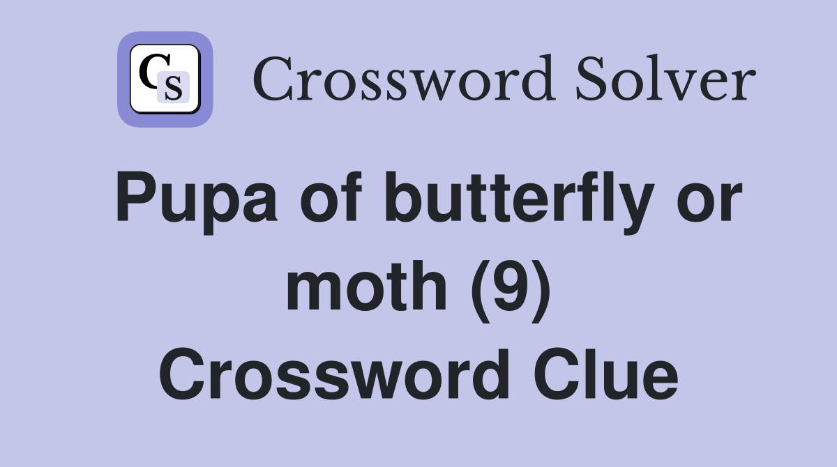 Pupa of butterfly or moth (9) Crossword Clue