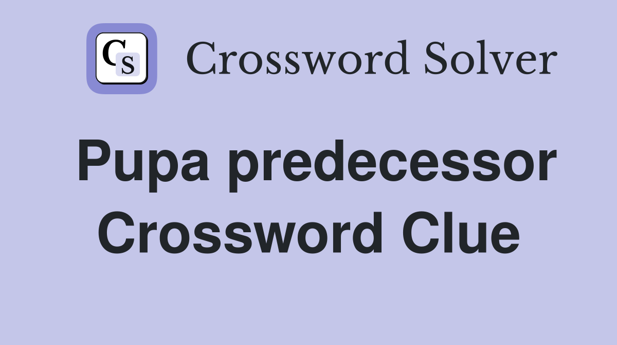 Pupa predecessor Crossword Clue