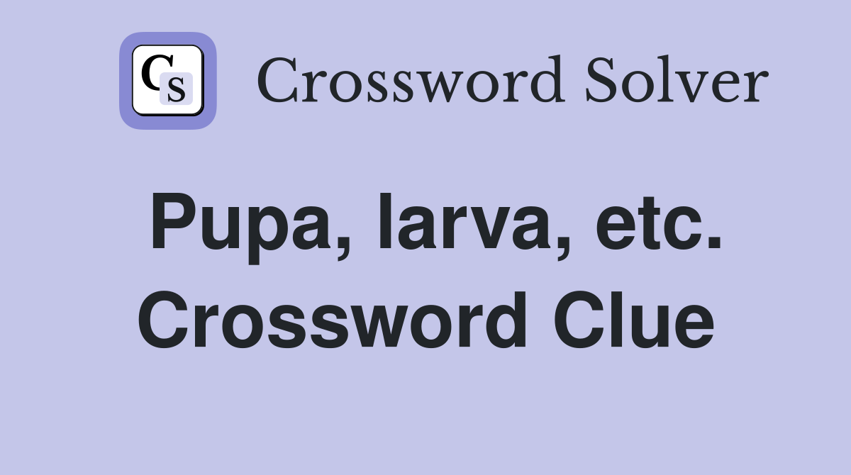 Pupa, larva, etc. Crossword Clue
