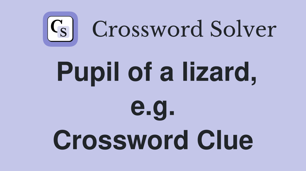 Pupil of a lizard, e.g. Crossword Clue