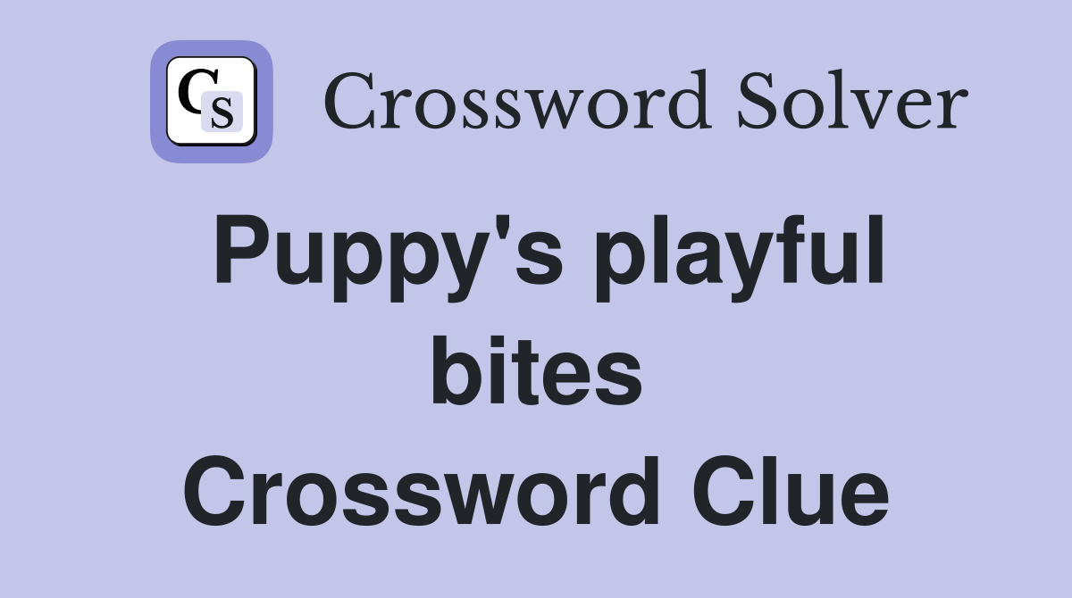 Puppy's playful bites Crossword Clue
