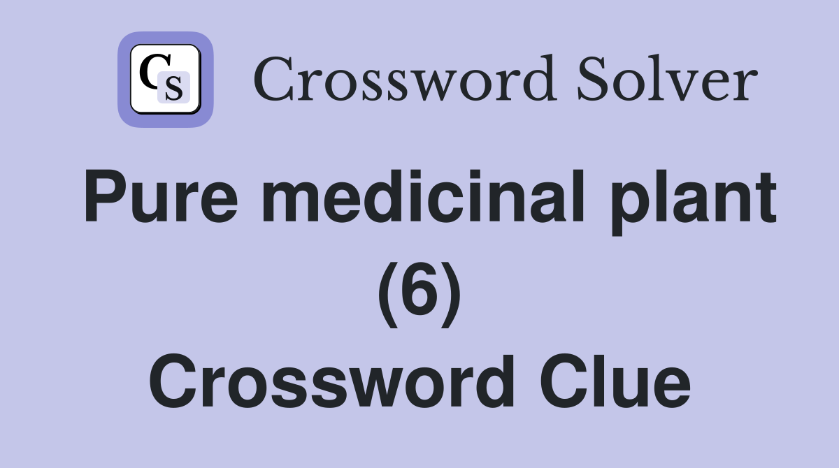 Pure medicinal plant (6) Crossword Clue
