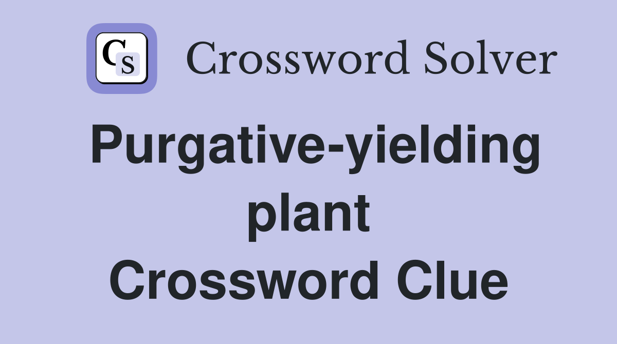 Purgative-yielding plant Crossword Clue