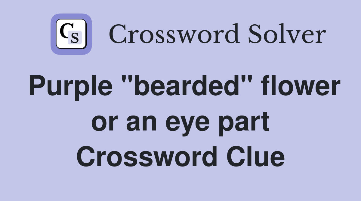 Purple "bearded" flower or an eye part Crossword Clue