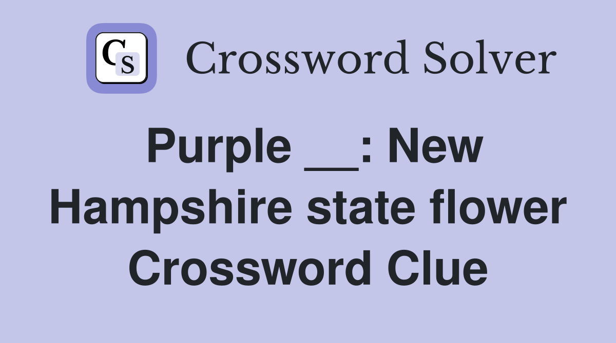 Purple __: New Hampshire state flower Crossword Clue