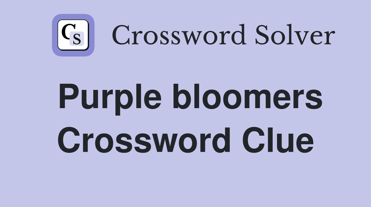 Purple bloomers Crossword Clue