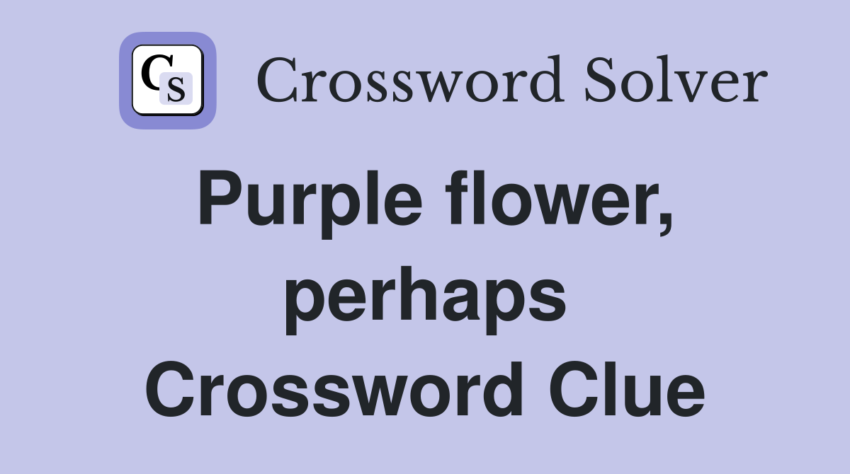 Purple flower, perhaps Crossword Clue