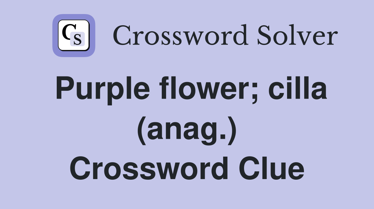 Purple flower; cilla (anag.) Crossword Clue