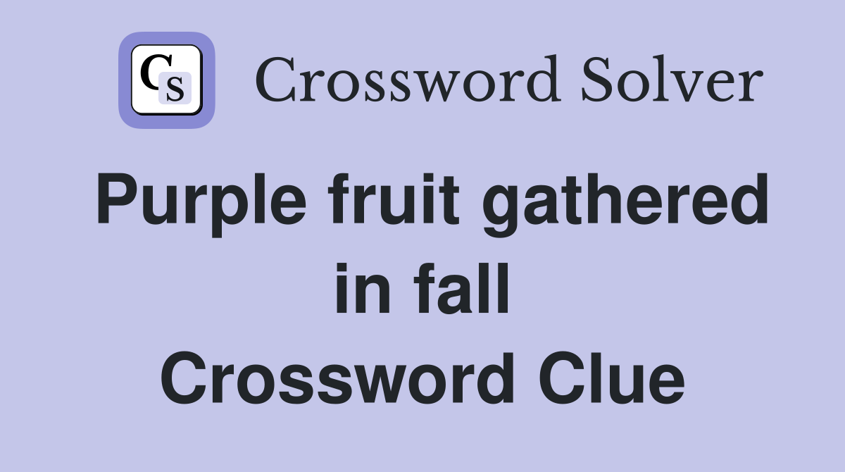 Purple fruit gathered in fall Crossword Clue