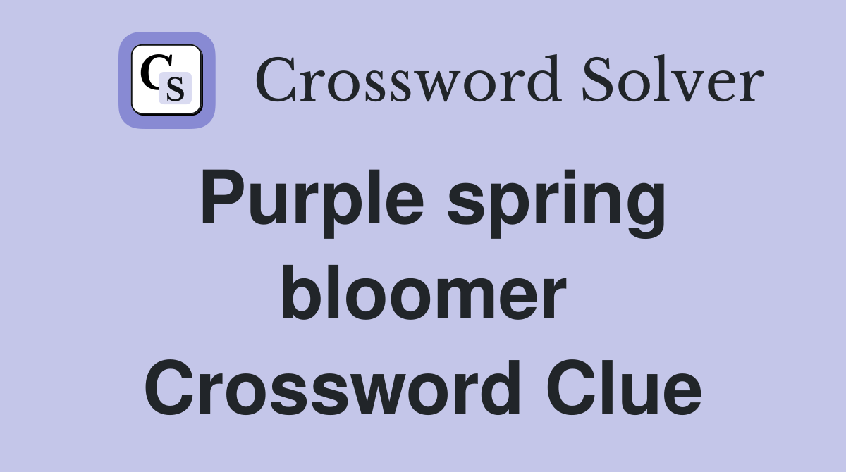 Purple spring bloomer Crossword Clue