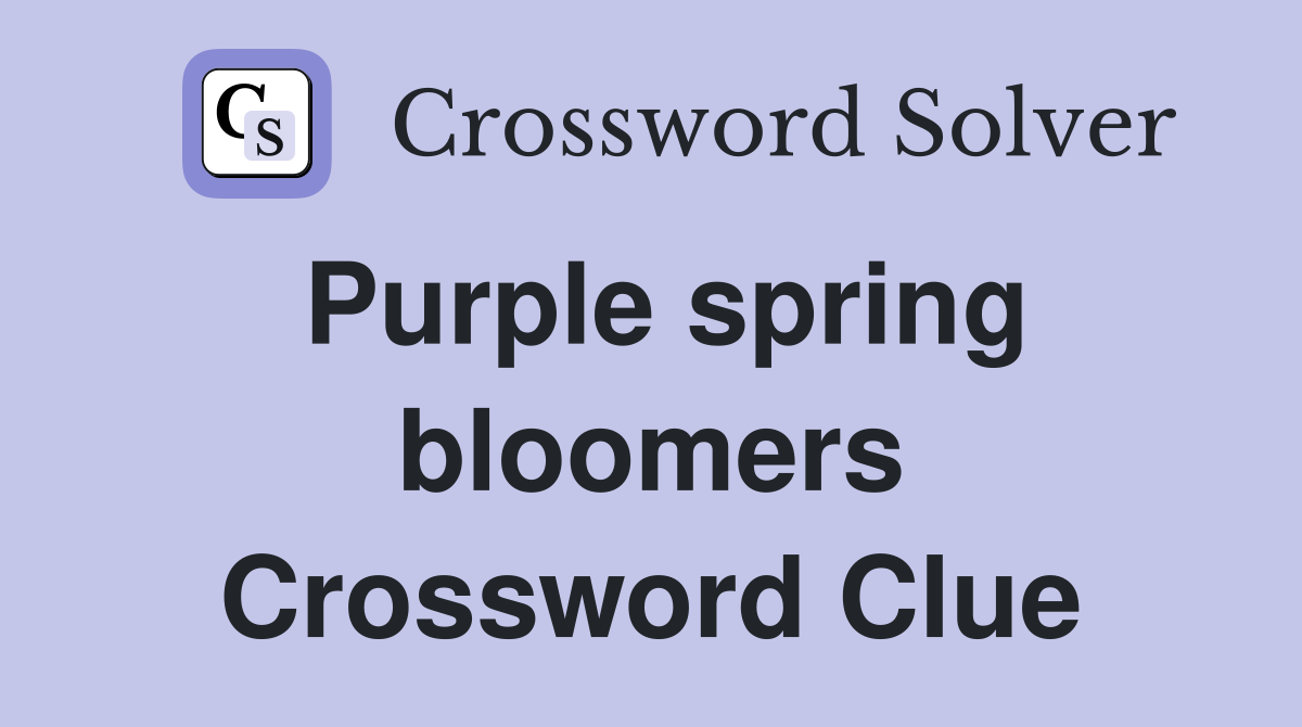 Purple spring bloomers Crossword Clue