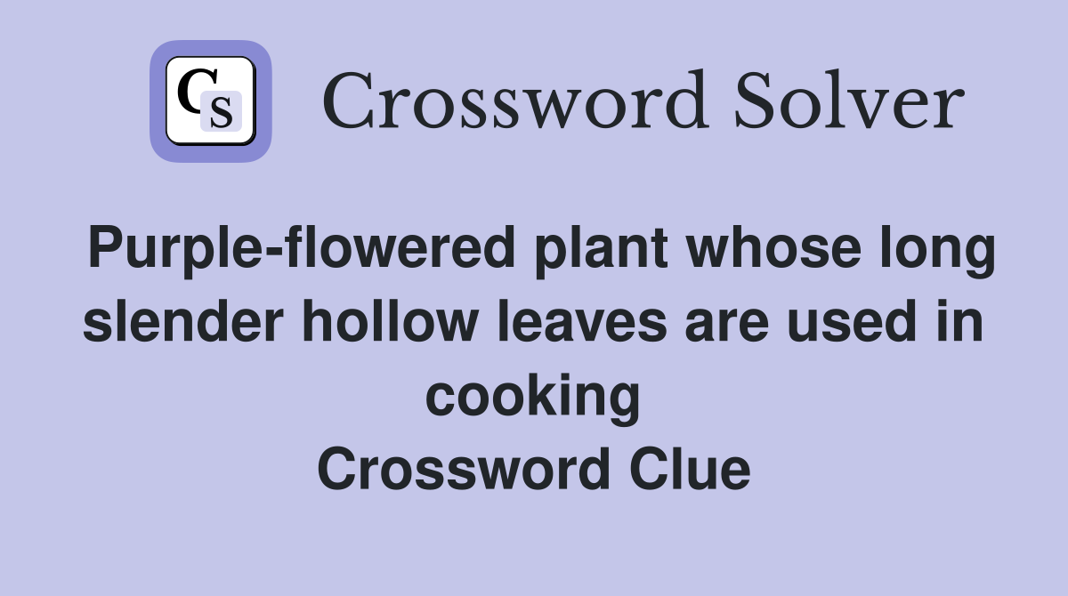 Purple-flowered plant whose long slender hollow leaves are used in cooking Crossword Clue