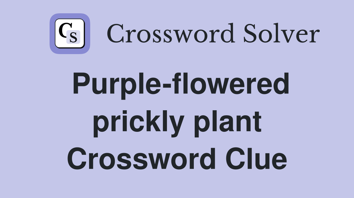 Purple-flowered prickly plant Crossword Clue