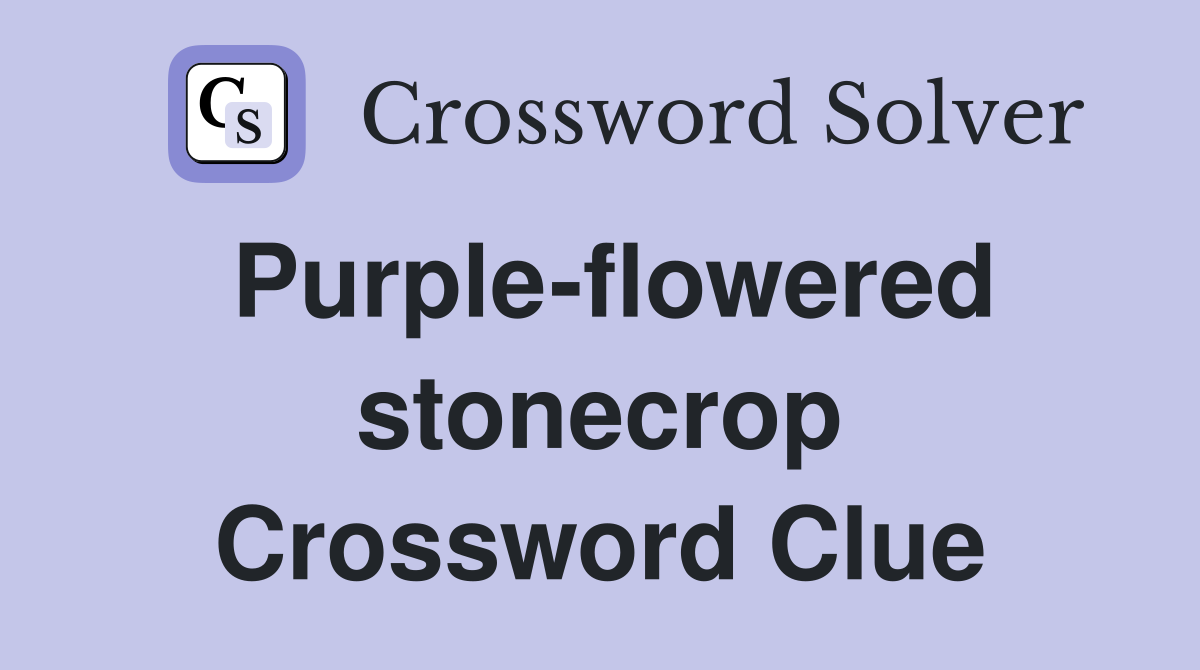 Purple-flowered stonecrop Crossword Clue