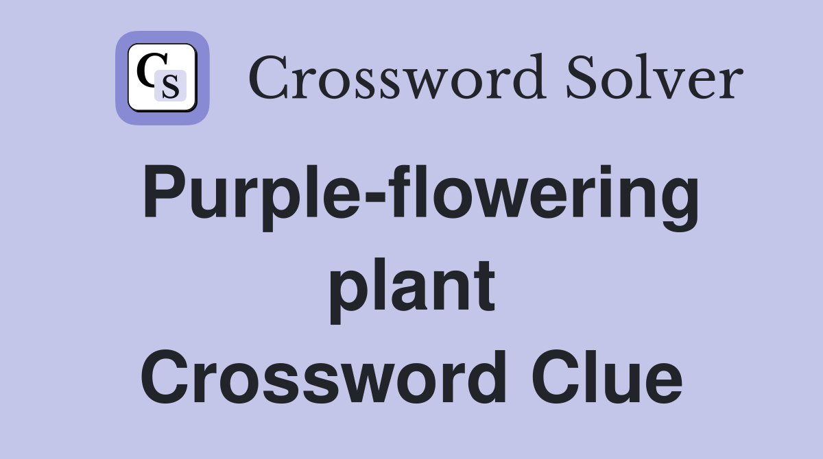 Purple-flowering plant Crossword Clue