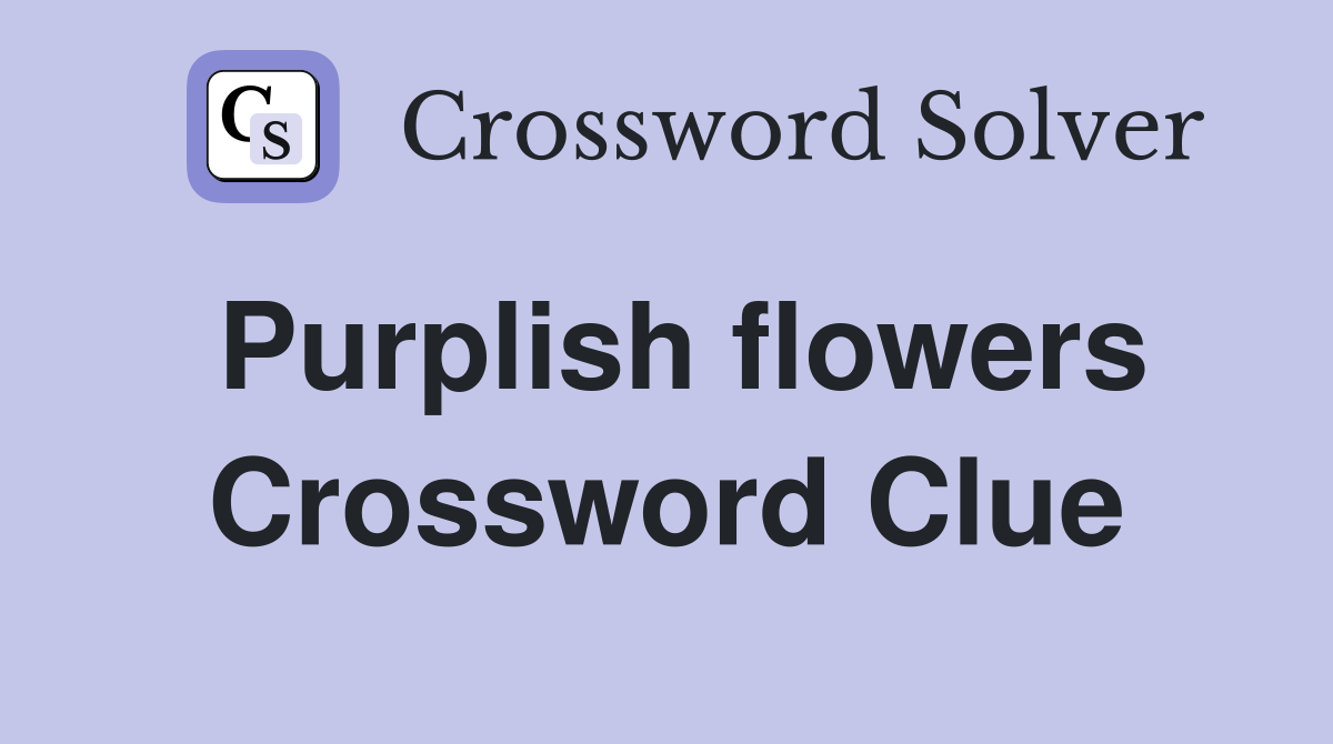 Purplish flowers Crossword Clue