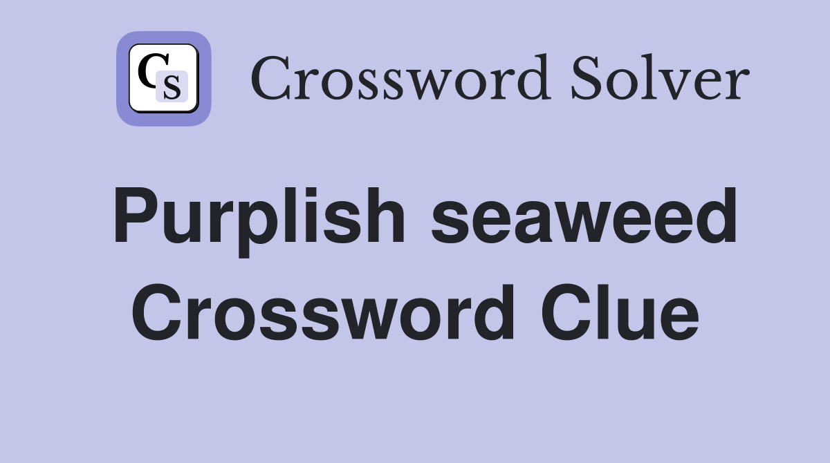 Purplish seaweed Crossword Clue