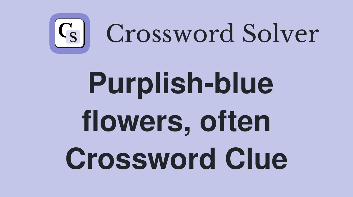 Purplish-blue flowers, often Crossword Clue