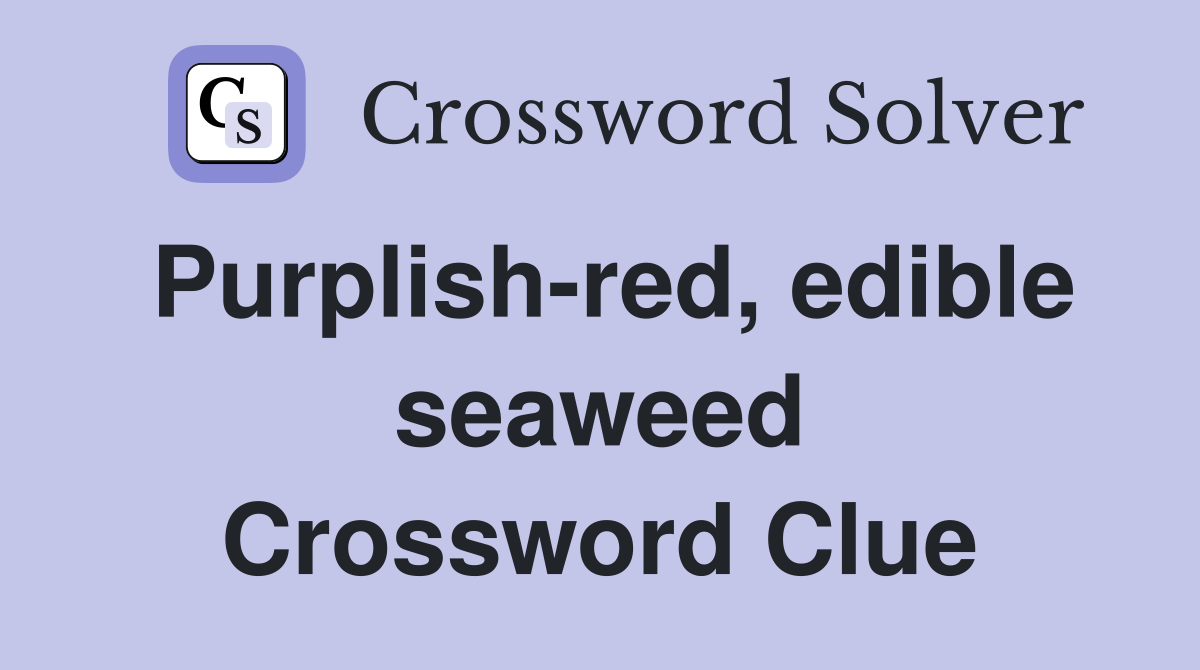 Purplish-red, edible seaweed Crossword Clue