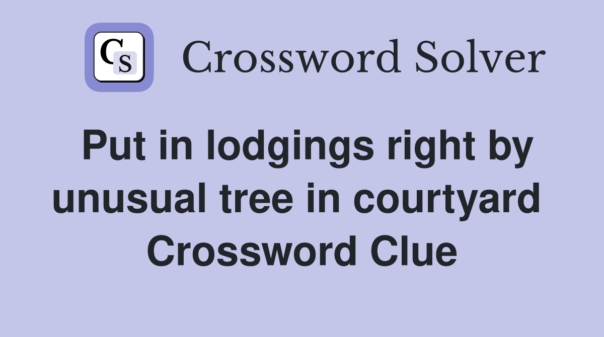 Put in lodgings right by unusual tree in courtyard  Crossword Clue