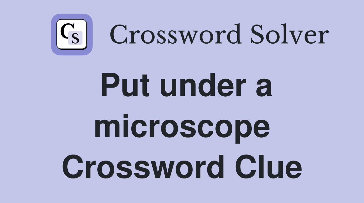 Put under a microscope Crossword Clue