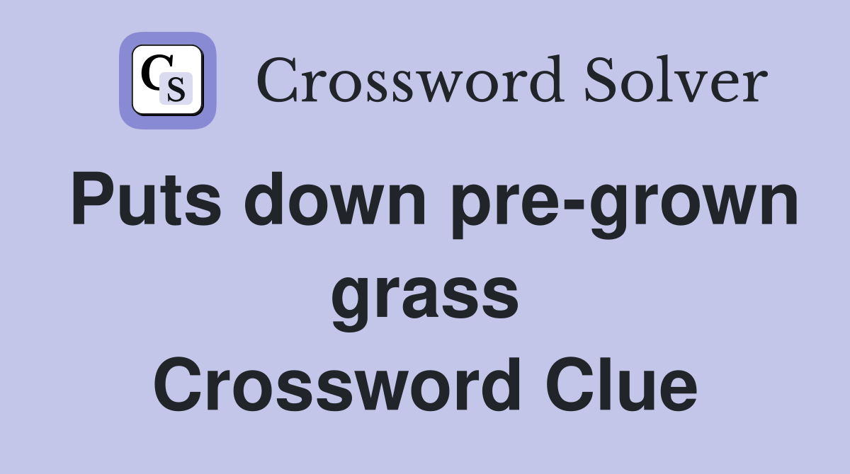 Puts down pre-grown grass Crossword Clue