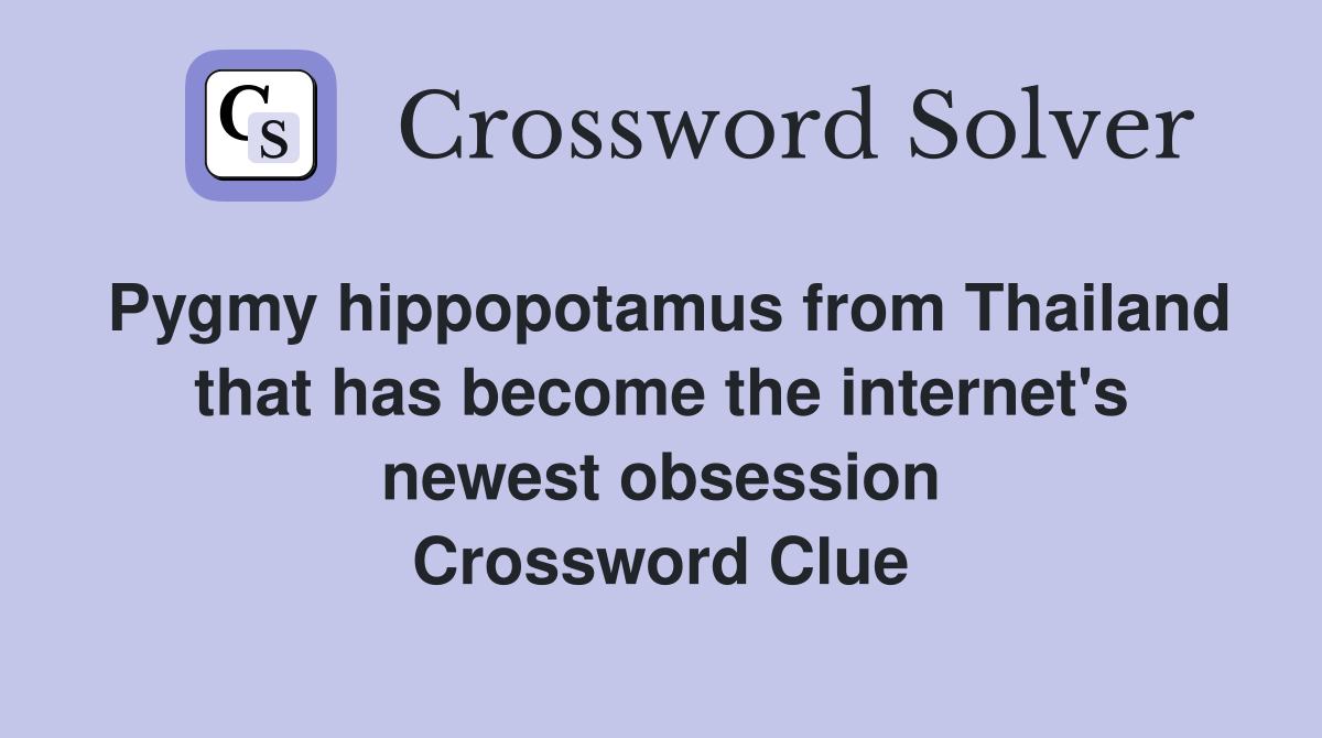 Pygmy hippopotamus from Thailand that has become the internet's newest obsession Crossword Clue