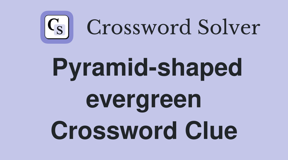 Pyramid-shaped evergreen Crossword Clue