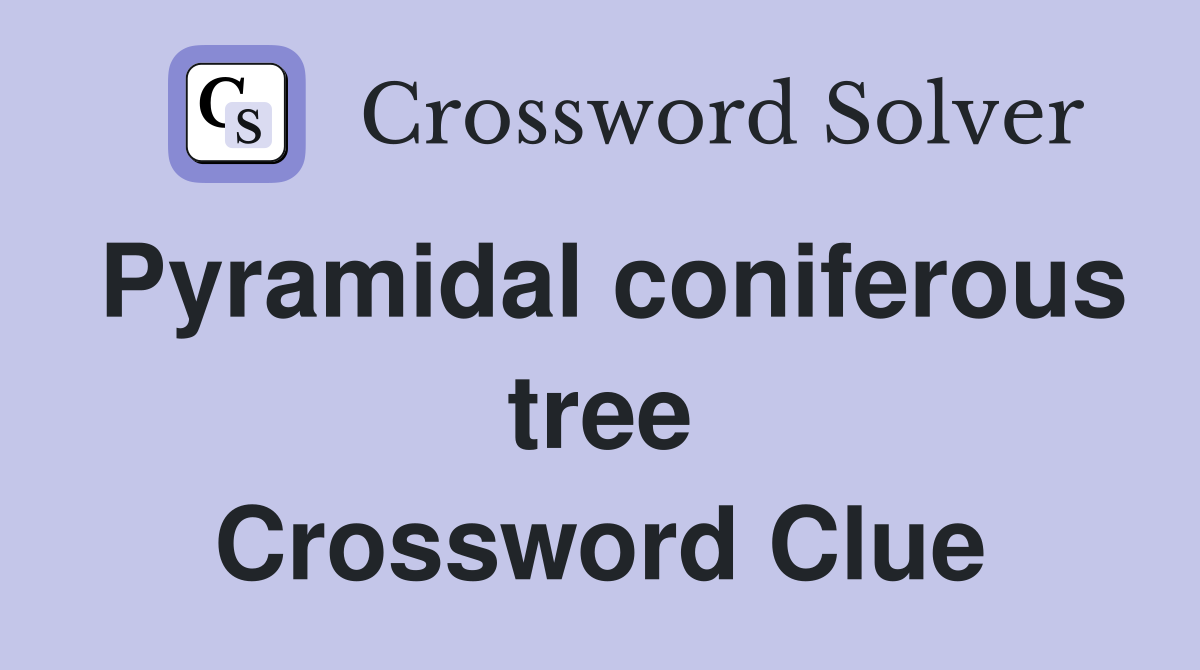 Pyramidal coniferous tree Crossword Clue