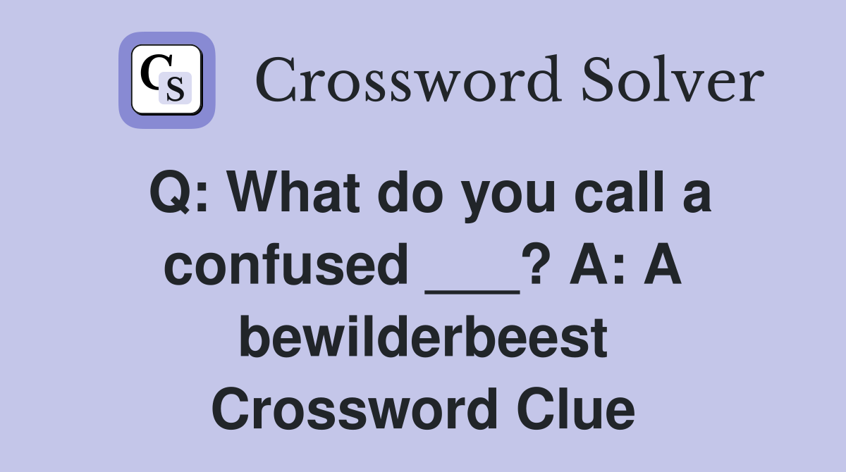 Q: What do you call a confused ___? A: A bewilderbeest Crossword Clue