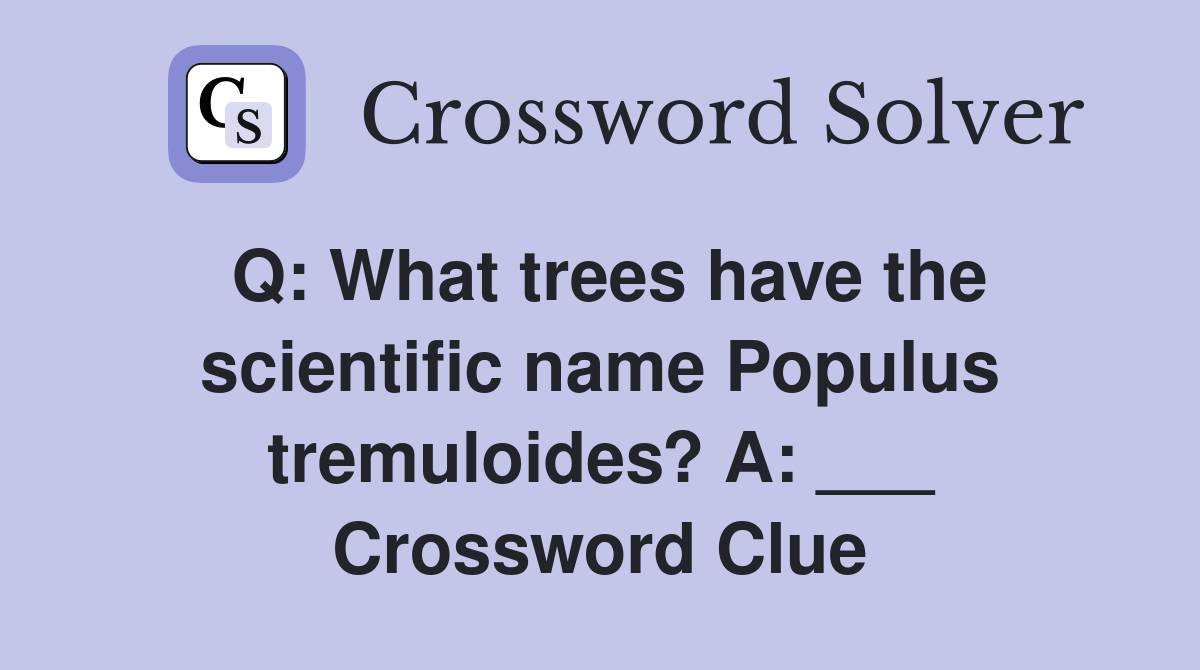 Q: What trees have the scientific name Populus tremuloides? A: ___ Crossword Clue