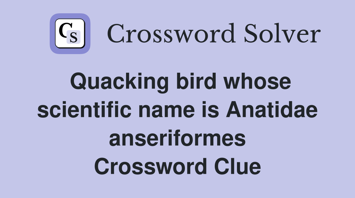 Quacking bird whose scientific name is Anatidae anseriformes Crossword Clue