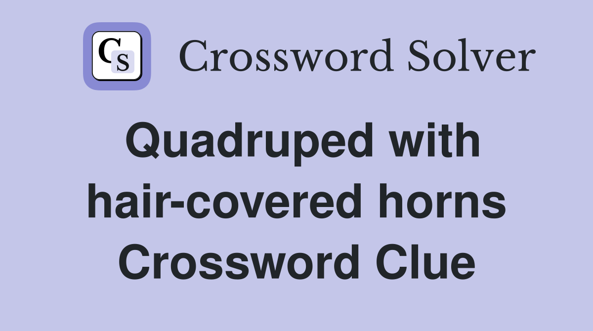 Quadruped with hair-covered horns Crossword Clue