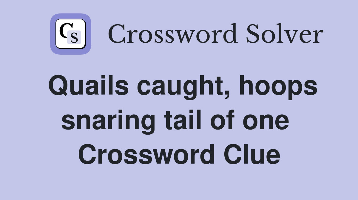 Quails caught, hoops snaring tail of one  Crossword Clue