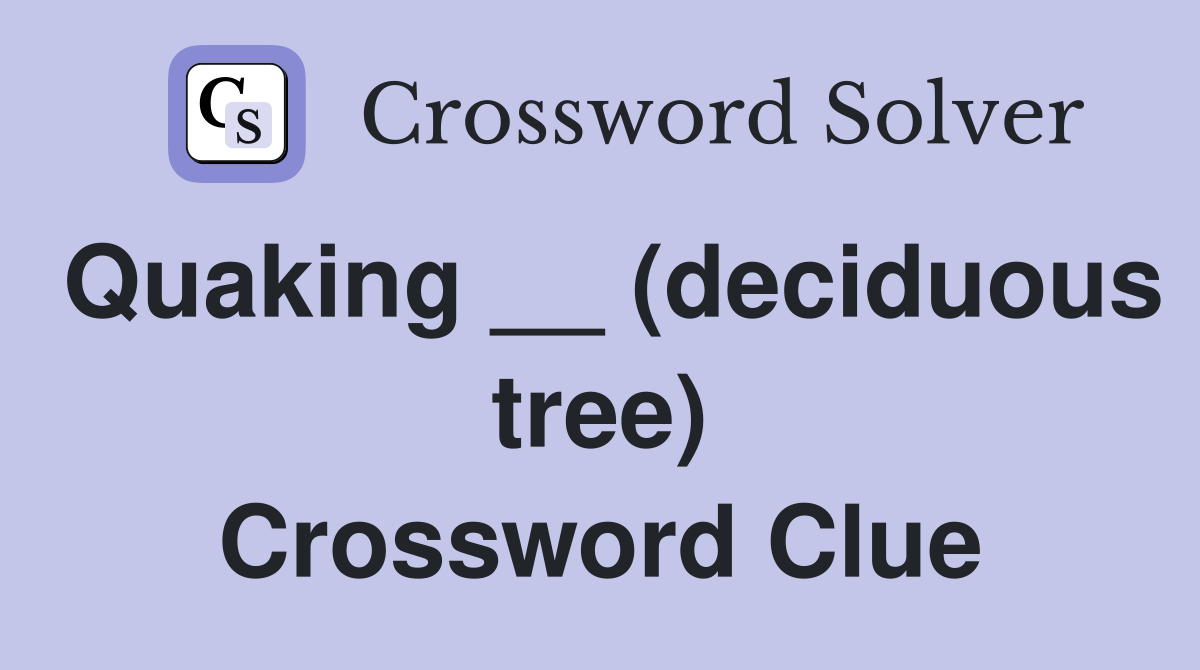 Quaking __ (deciduous tree) Crossword Clue