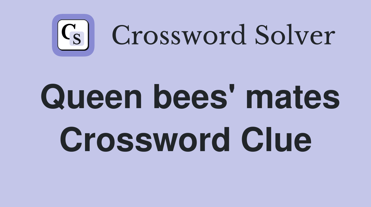 Queen bees' mates Crossword Clue