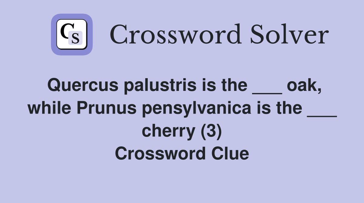 Quercus palustris is the ___ oak, while Prunus pensylvanica is the ___ cherry (3) Crossword Clue