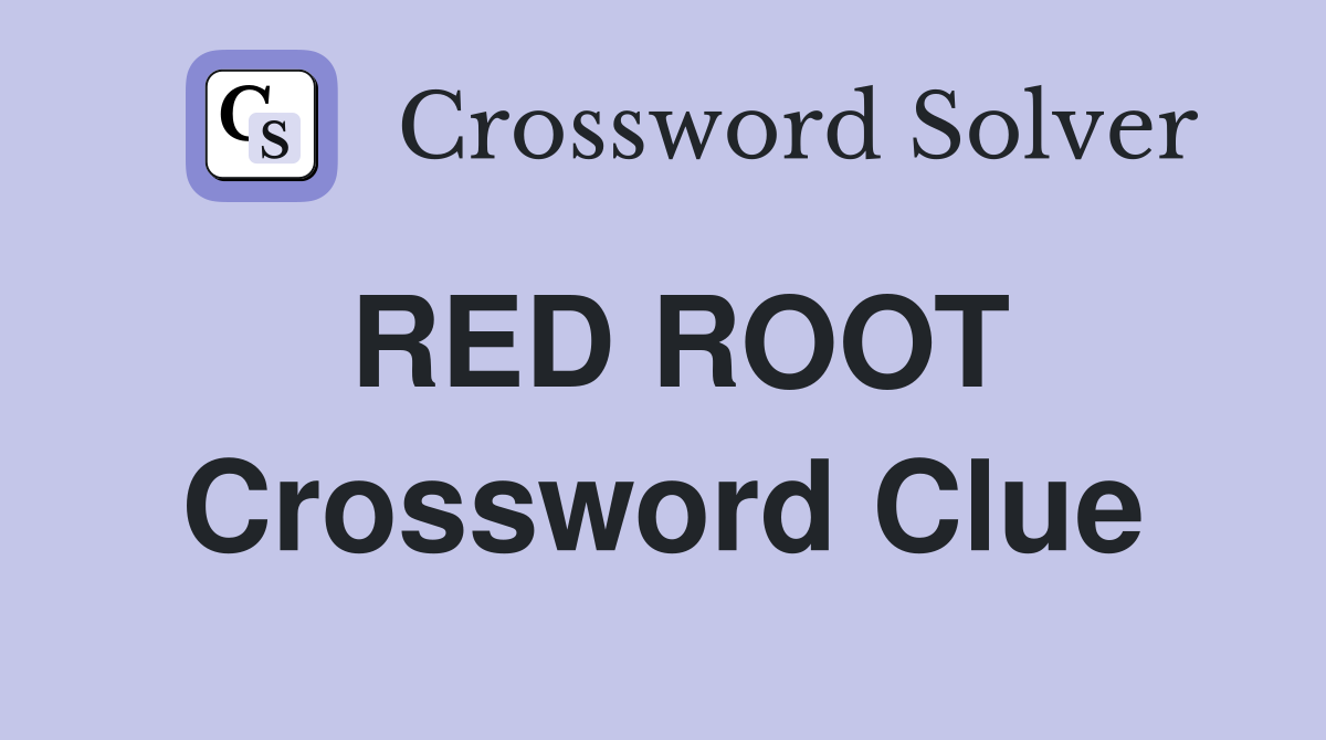 RED ROOT Crossword Clue