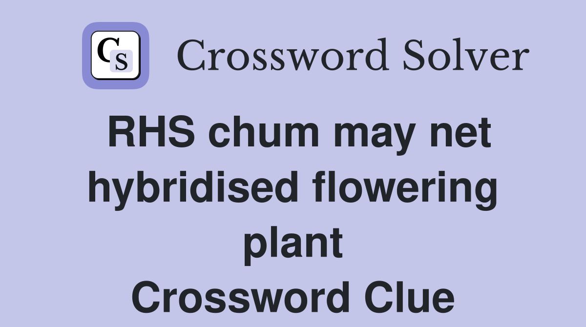 RHS chum may net hybridised flowering plant Crossword Clue