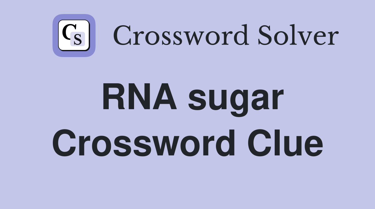 RNA sugar Crossword Clue