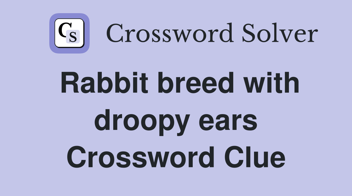Rabbit breed with droopy ears Crossword Clue