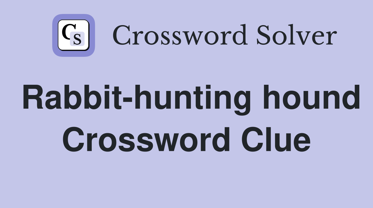 Rabbit-hunting hound Crossword Clue