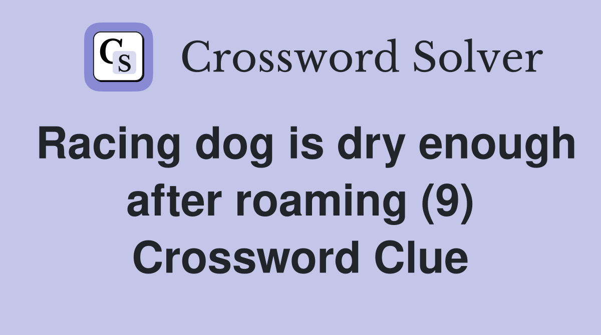Racing dog is dry enough after roaming (9) Crossword Clue