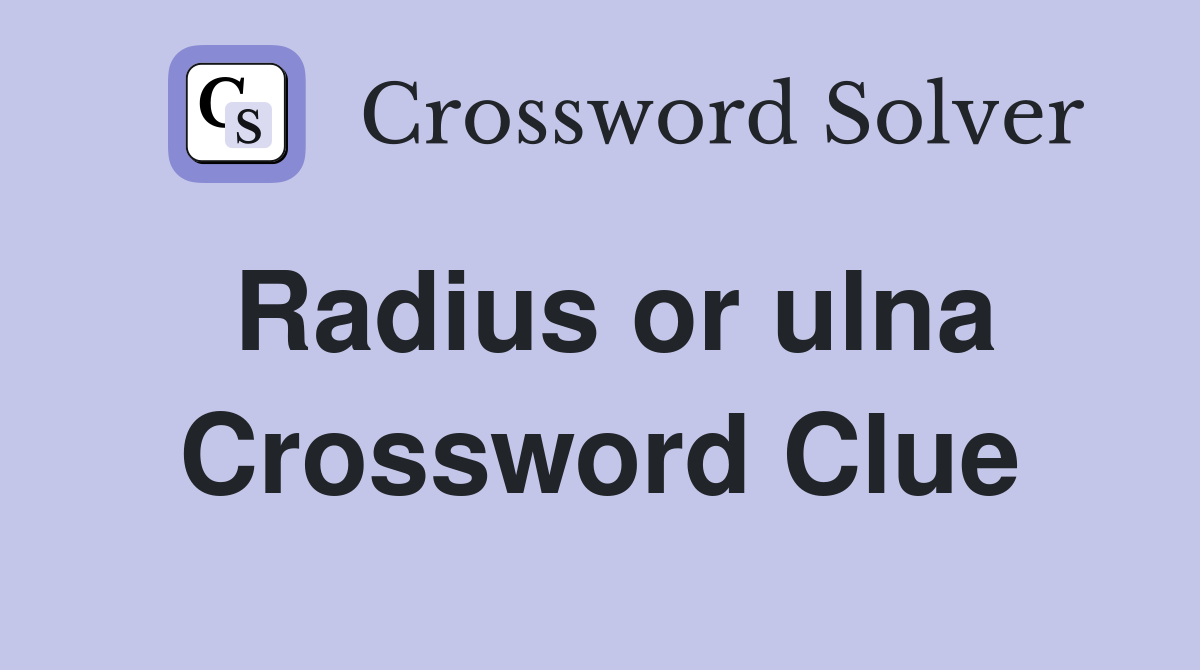Radius or ulna Crossword Clue