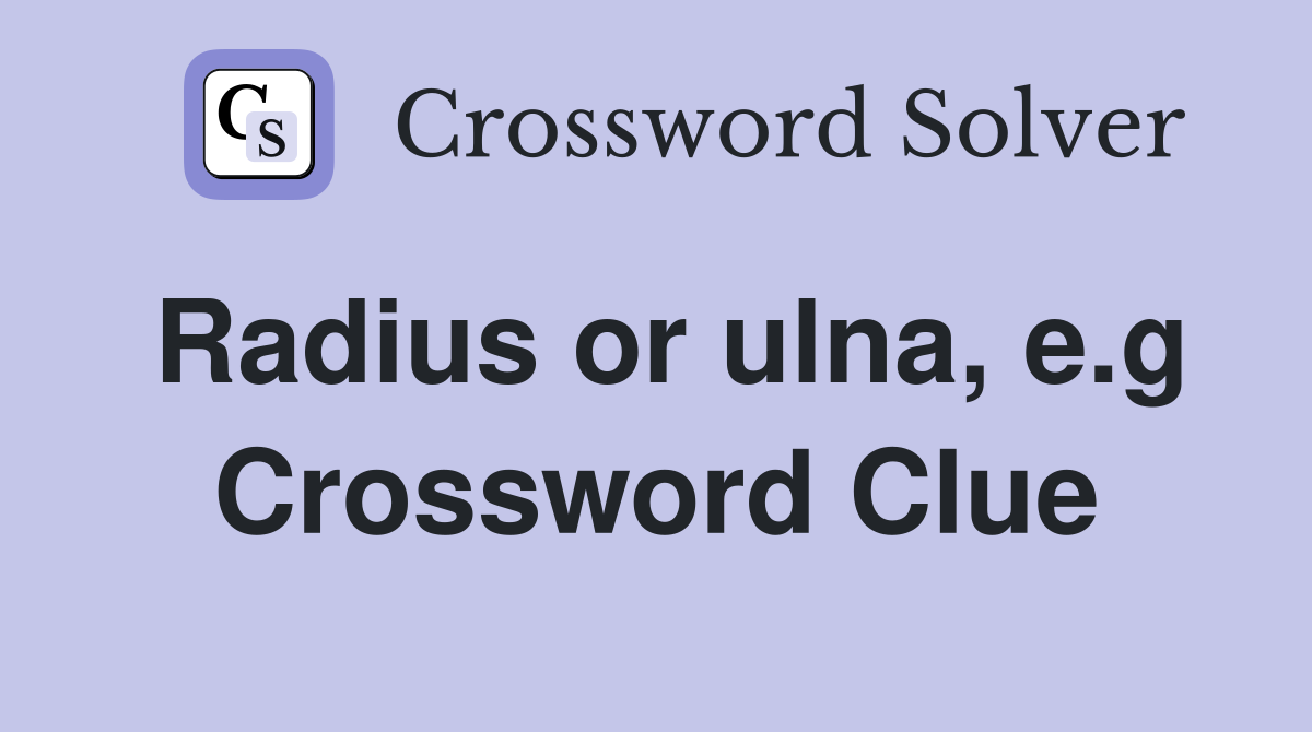 Radius or ulna, e.g Crossword Clue