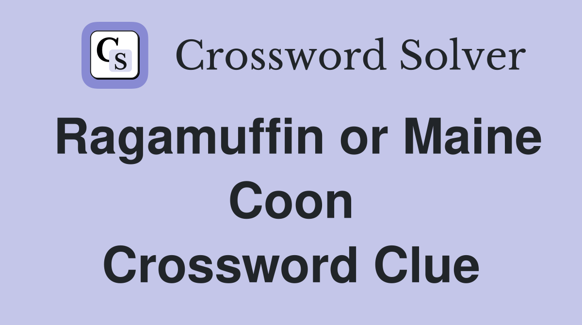 Ragamuffin or Maine Coon Crossword Clue