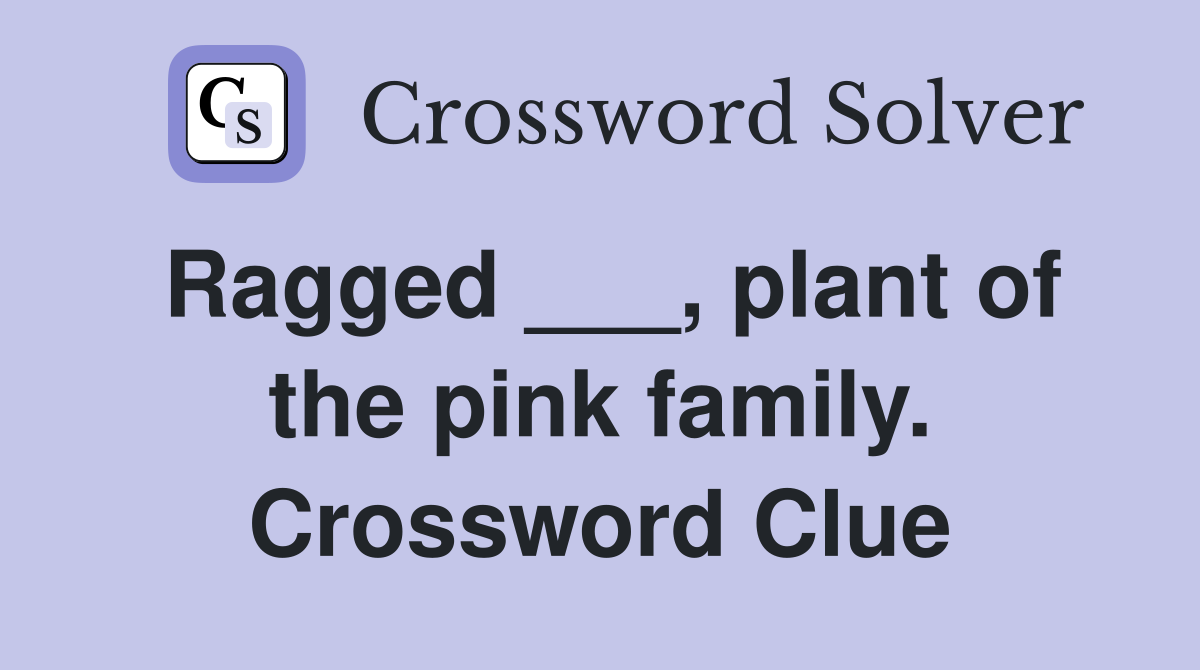 Ragged ___, plant of the pink family. Crossword Clue