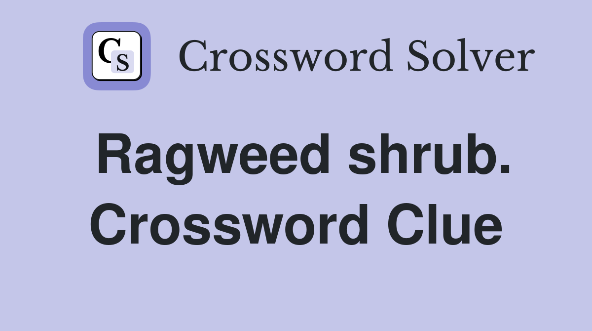 Ragweed shrub. Crossword Clue