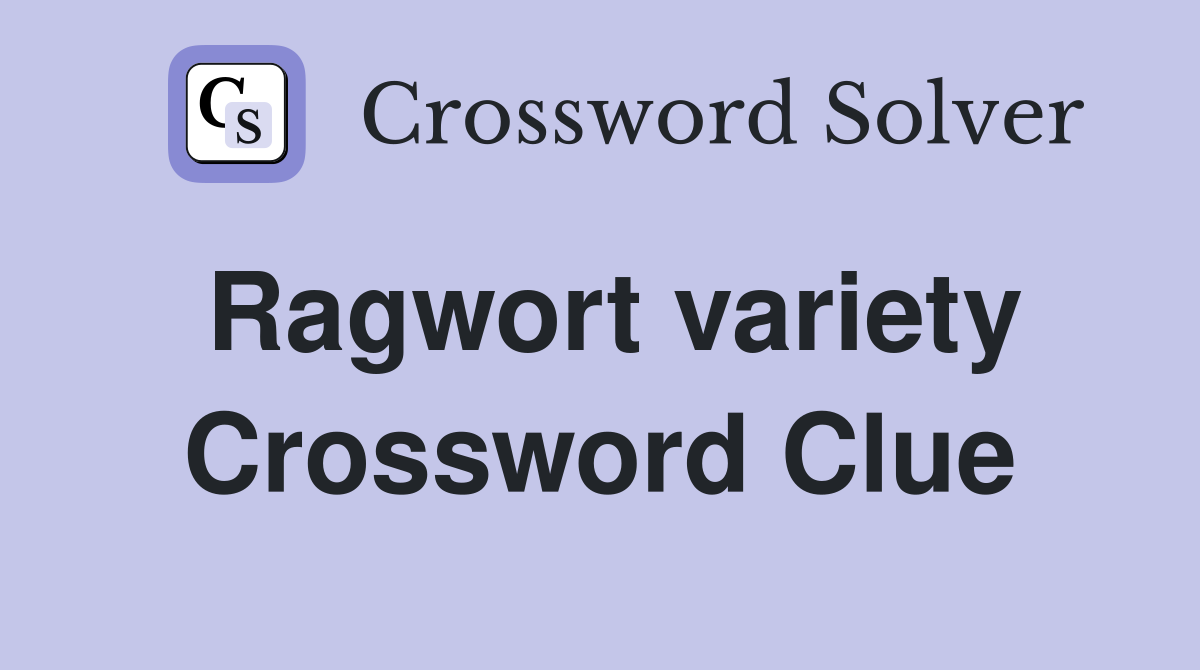Ragwort variety Crossword Clue