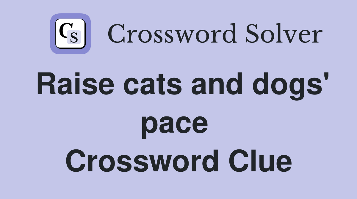 Raise cats and dogs' pace  Crossword Clue